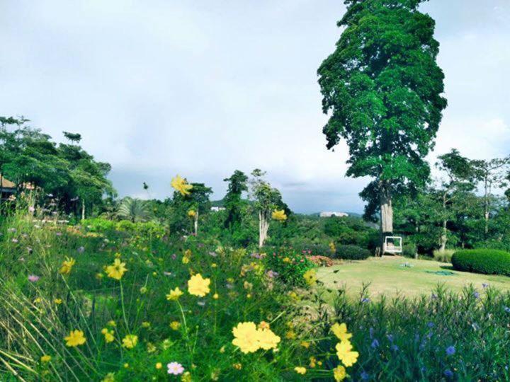 Arayana Phupimarn Resort & Spa Pakchong Bagian luar foto